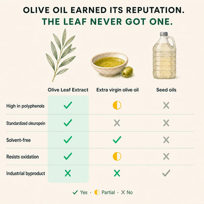 Alfrea Olive Leaf Extract