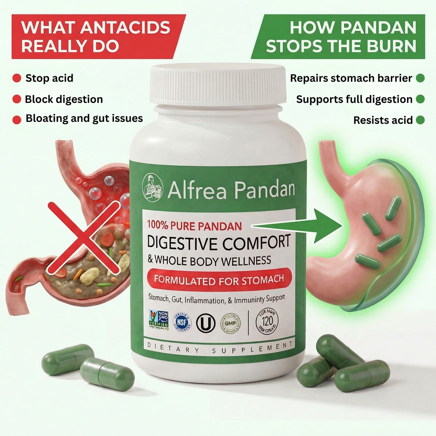 Alfrea™ Pandan