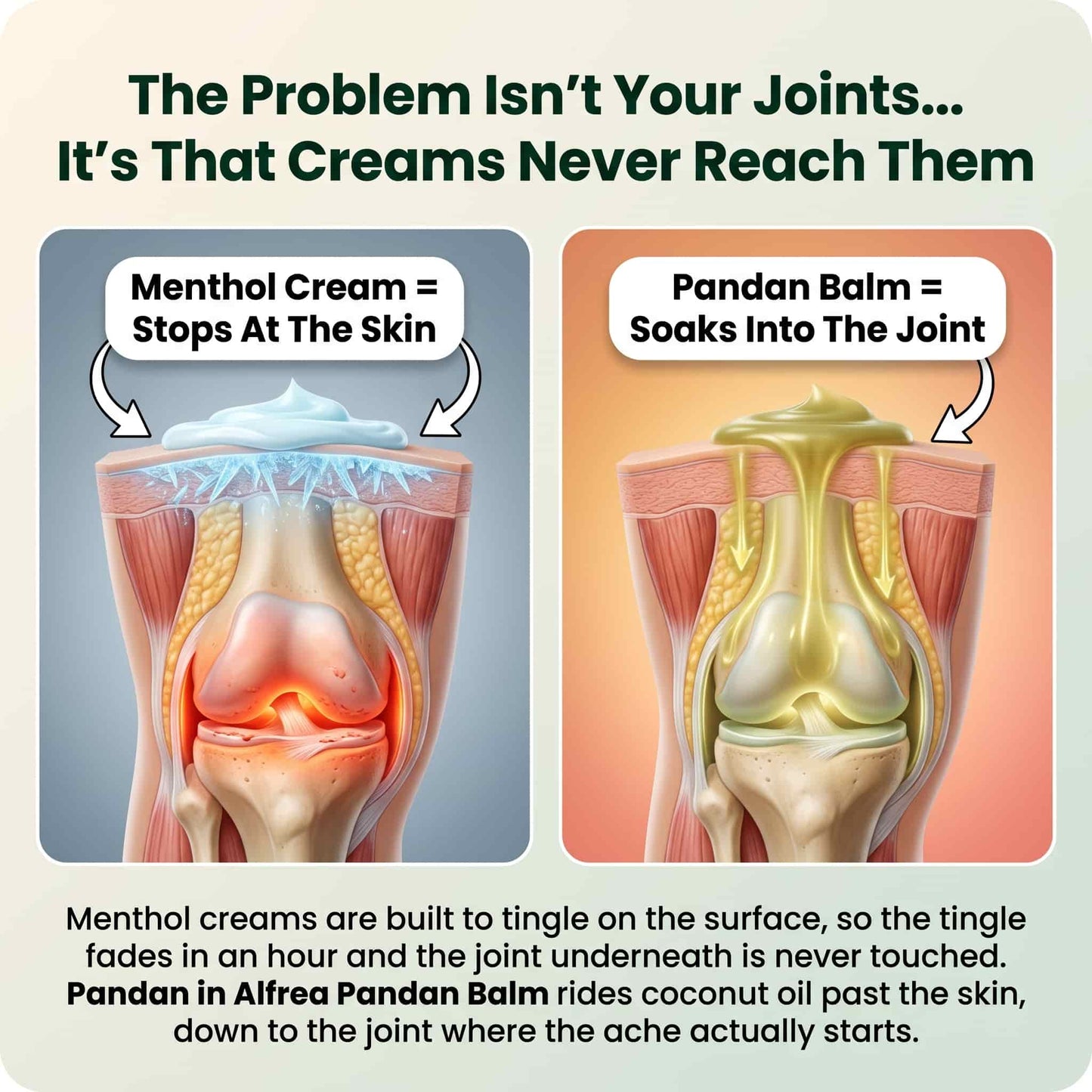 Alfrea Pandan Balm